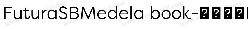 FuturaSBMedela book字体转换